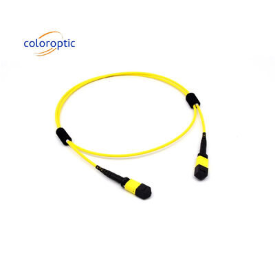 Mtp(Mpo) Cable de parcheado de modo único 12 Fibra Tipo B Conector de mujer a mujer Pc pulido