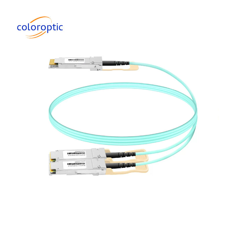 3m AOC DAC Cable 10Gbps 800G OSFP a 2*400G QSFP112 Enlaces